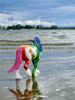 IMG_8476.jpeg