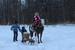 Schlittenfahrt1.jpg