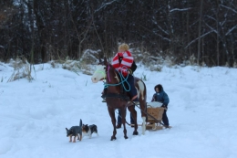 Schlittenfahrt2.jpg