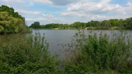 Teich190518_1.jpg