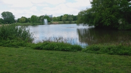Teich190518_2.jpg
