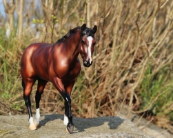 Traberstute.jpg