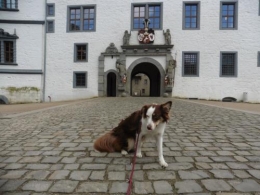 VorSchloss228042019.jpg
